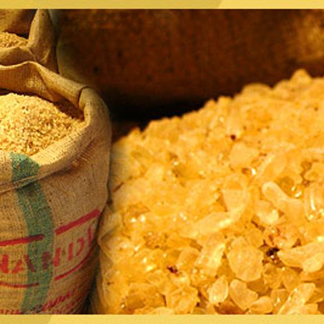 banner01.jpg
