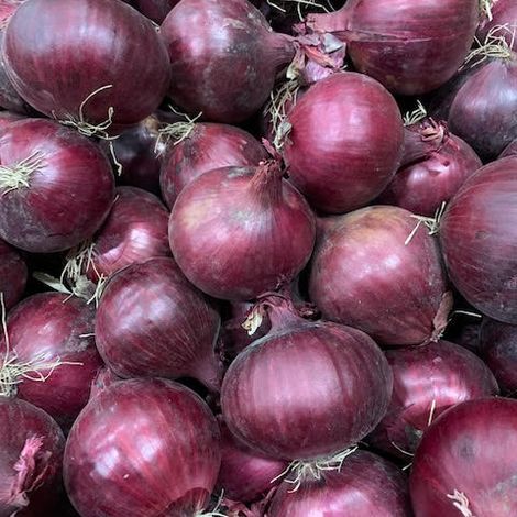 Jonika_Red Onion