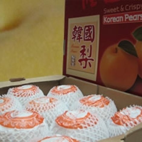 korean pear
