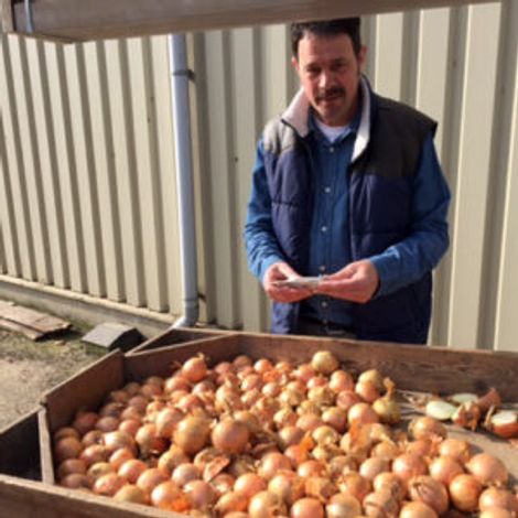 Mulder Onions - Products