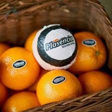 Frutas Plasencia S.L. - Product
