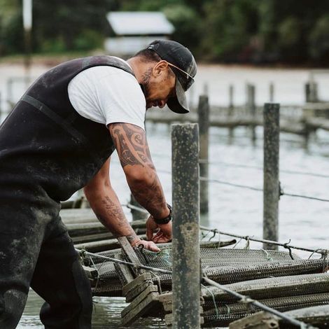 Tematuku Oysters Limited
