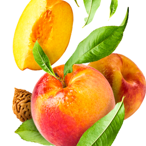 img_fruit_apricot_mobile.png