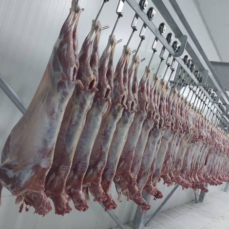 Frozen Lamb