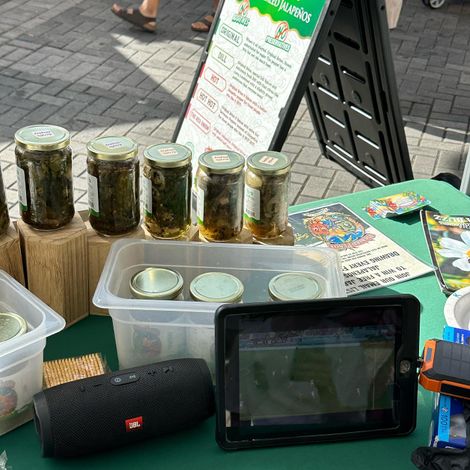 Pickled Penos, LLC - Products