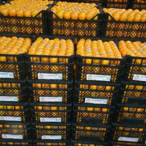 Al-Shareed Enterprises - Products