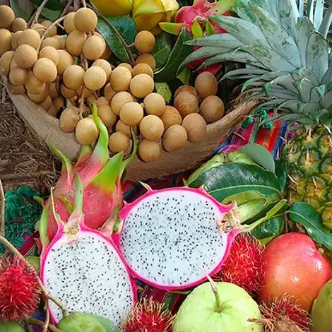 Ecoripe Tropicals, Inc.