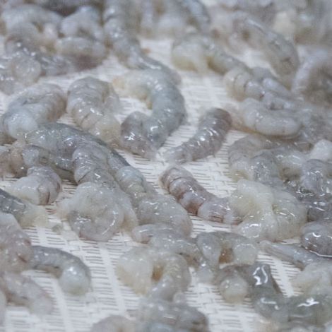 Lafitte Frozen Foods Corporation