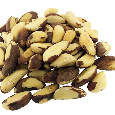 brazilnut.webp
