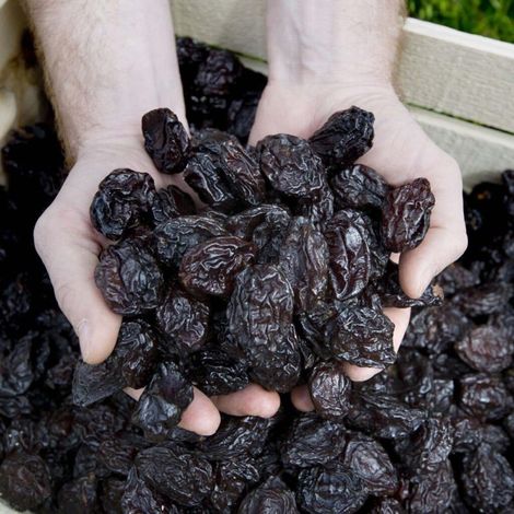 Packing-Prunes-1536x1026.jpg
