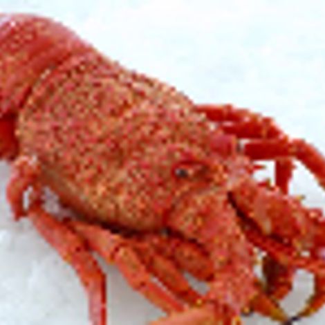 ckd cray-715.jpg