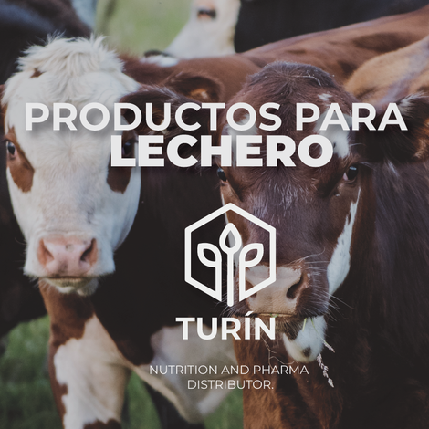 Ganado Lechero