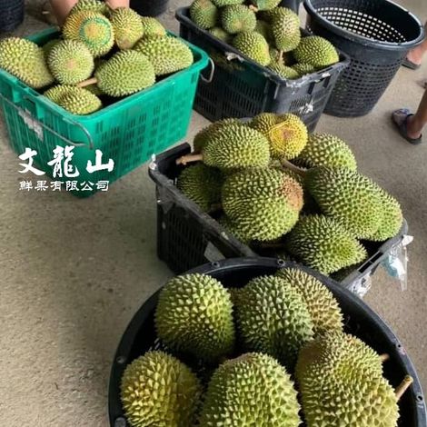 Benum Hill Fruits Sdn Bhd