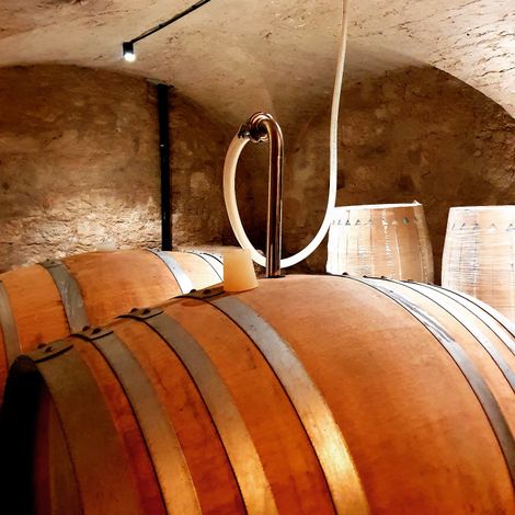 Barrel of wines