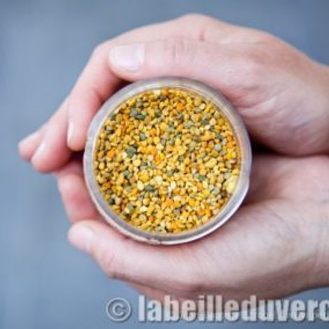 L'ABEILLE DU VERCORS