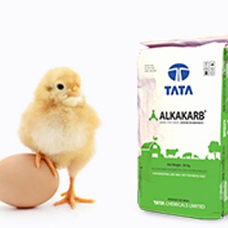 TATA CHEMICALS LIMITED