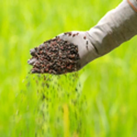 fertilizantes.jpg