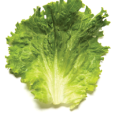 McEntire Produce