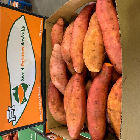 Gold Sweet Potato
