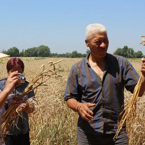 Seed Farm