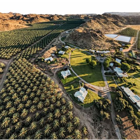Plantation Drone view