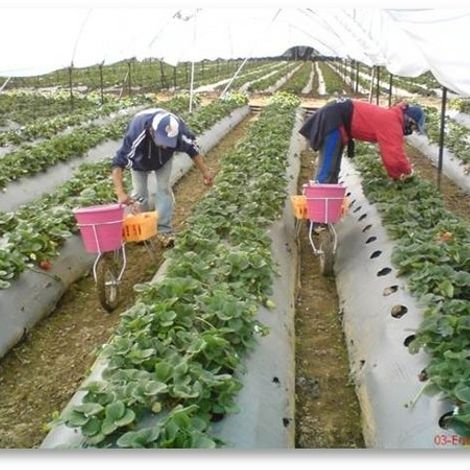 592_field2.jpg
