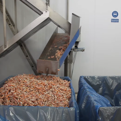 Kilkeel Seafoods Ltd - Processing