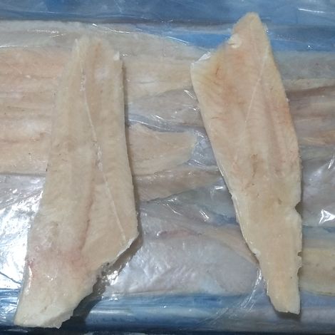 Frozen hake fillet