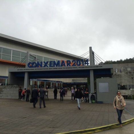 Congesur, S.c.a.