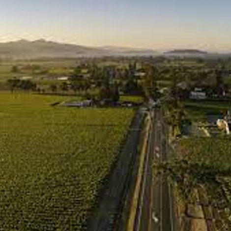 Whitehall Lane Winery