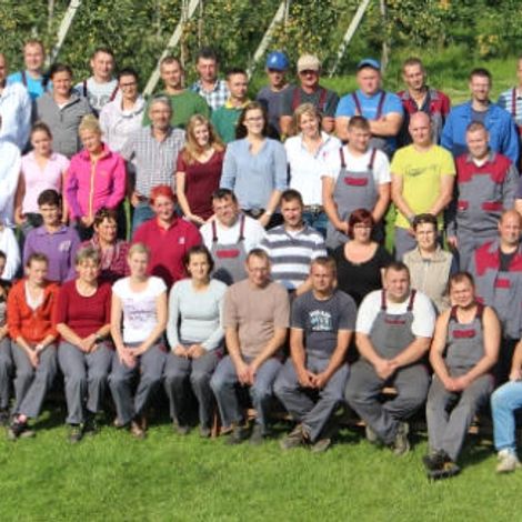 Team