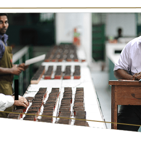 MJF Exports (Pvt.) Ltd