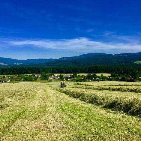 Supikovice - Plantation