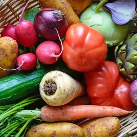 Steinkrüger Frucht-Frischehandel GmbH