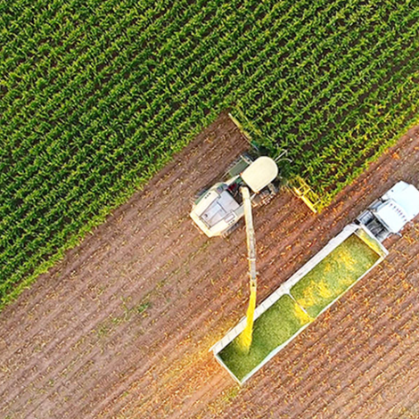 Farm