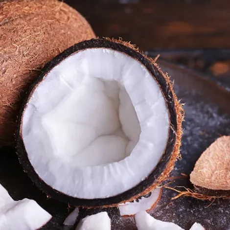 Coconut Meat