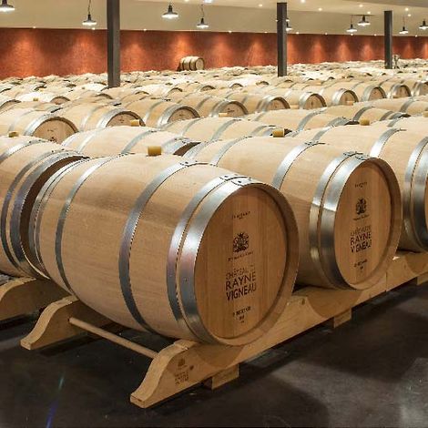 Château de Rayne Vigneau - Cave