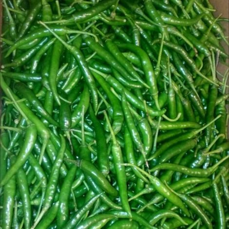 Elohim Exporters Limited