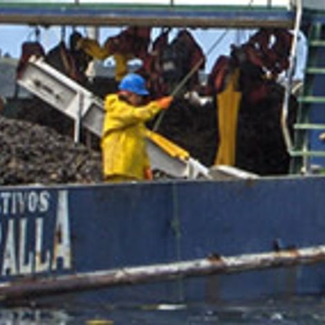 Toralla S.A.