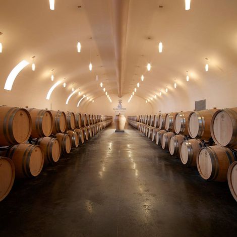 Cellar
