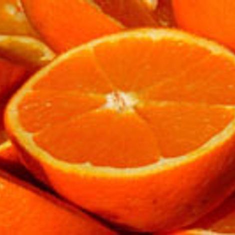 FFC Fresh Fruit Company GmbH