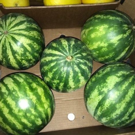 INTERfresh