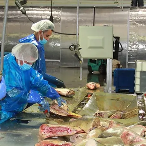 Two Rivers Fisheries, Inc - Processing