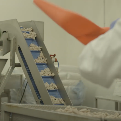 Kilkeel Seafoods Ltd - Facility