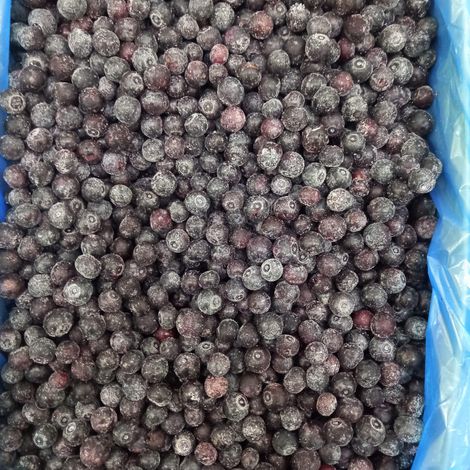 IQF CULTIVATED BLUEBERIES