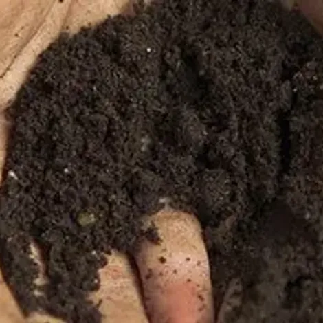 soil-1920w.webp