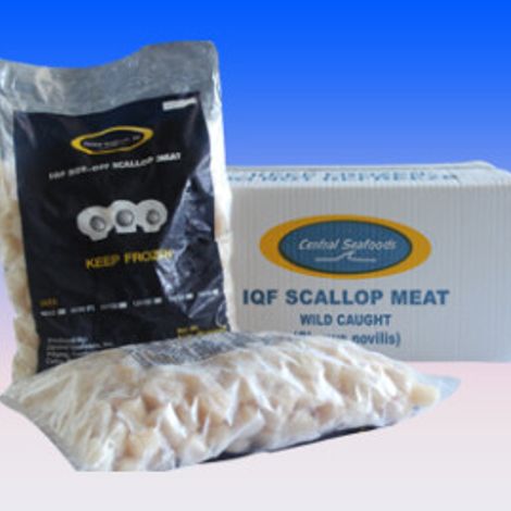 scallup710-300x269-1.jpg