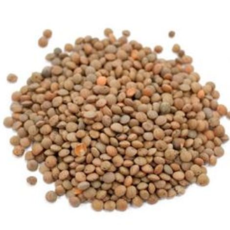 CONVENTIONAL GREEK PULSES