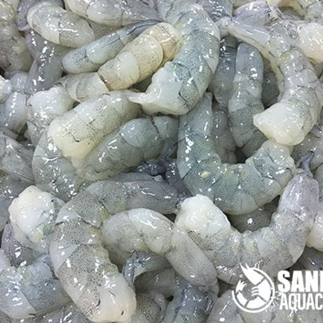 Peeled and Deveined Vannamei Prawns
