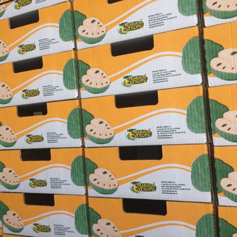 Natural Tropic_custard apple_boxes
